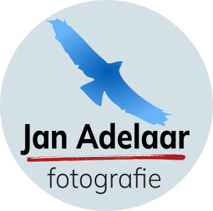 logo jan adelaar fotografie