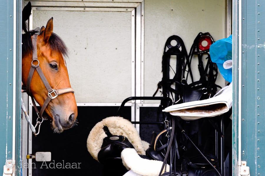<strong>Concours Hippique</strong> van PSV De Zevensteen 2 steenderen-paard-wagen