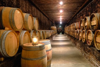 wijnvaten in de kelder