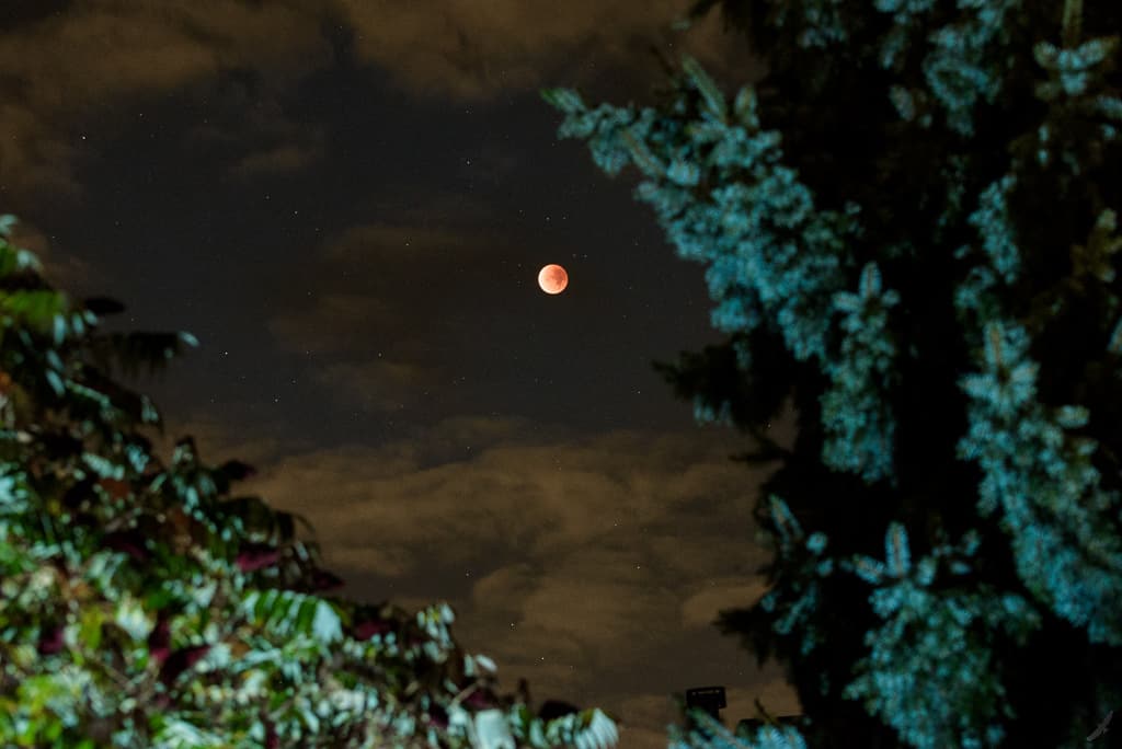 Maansverduistering 2015 5 DSC_9339